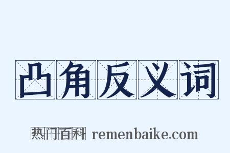 凸角反义词是什么意思的图片